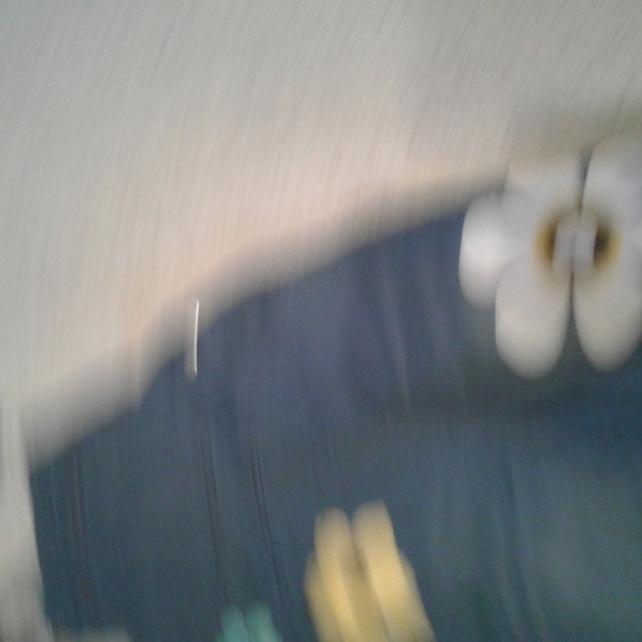 Jean overall bibs nwot - Picture 2 of 3